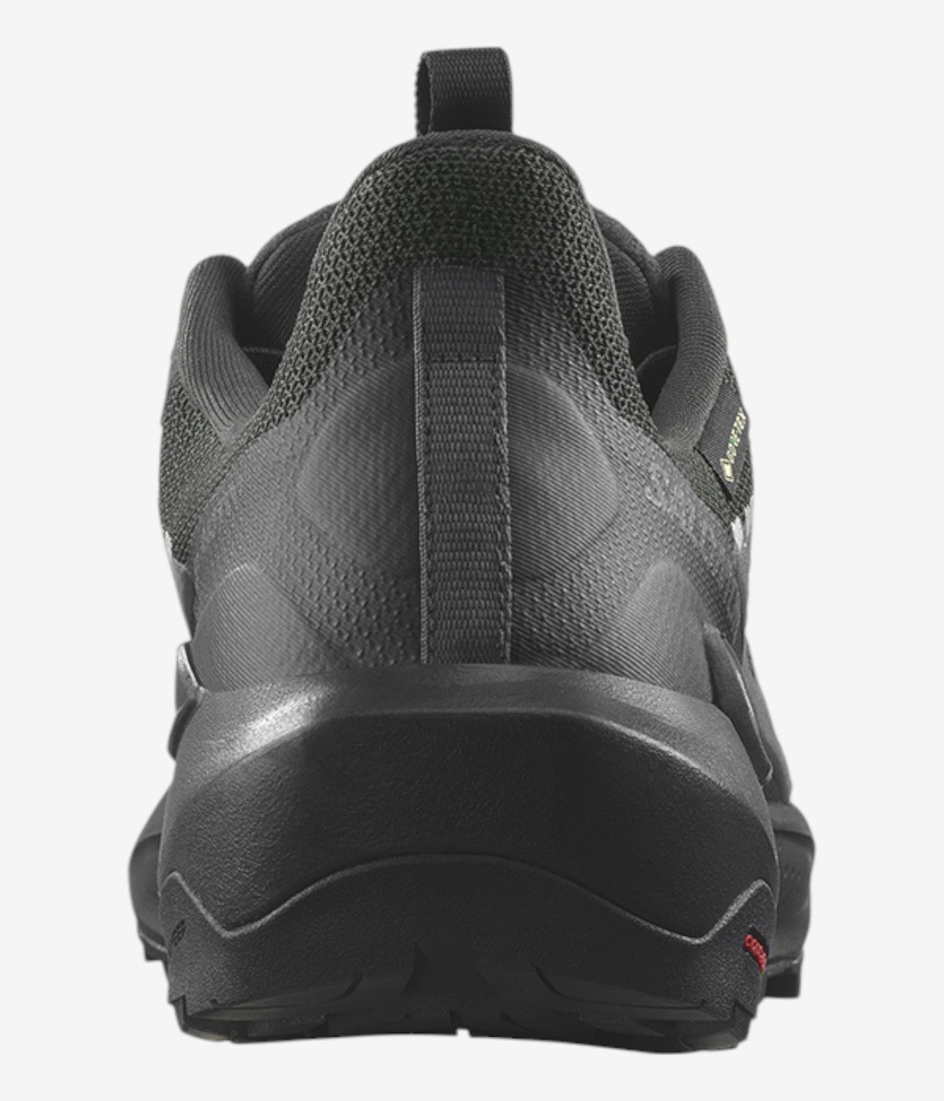ELIXIR ACTIV GORE-TEX Hiking Shoes - SalomonGCC