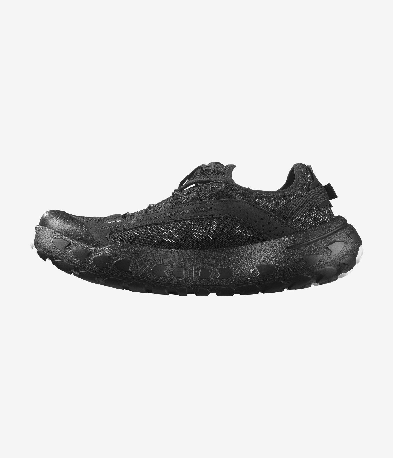 SOLAMPHIBIAN