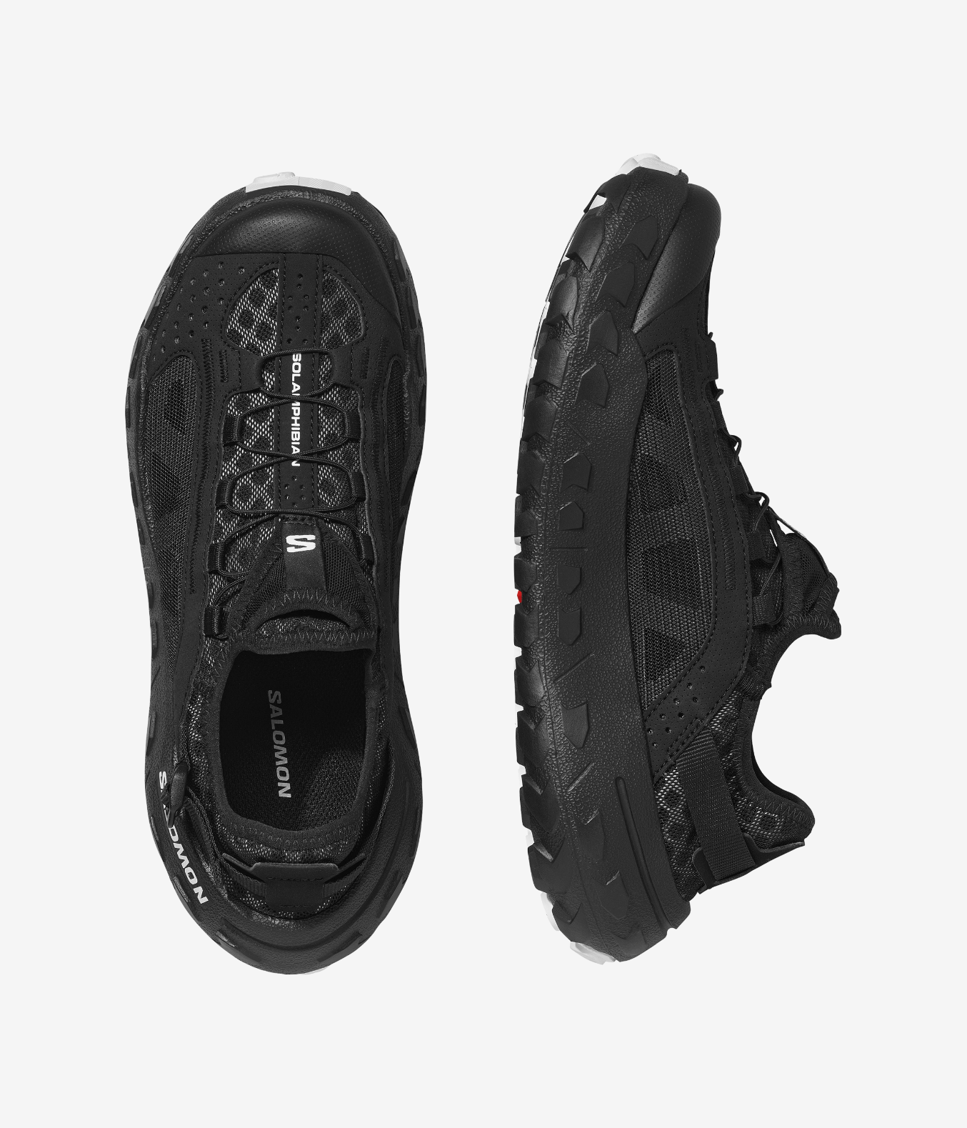 SOLAMPHIBIAN - SalomonGCC