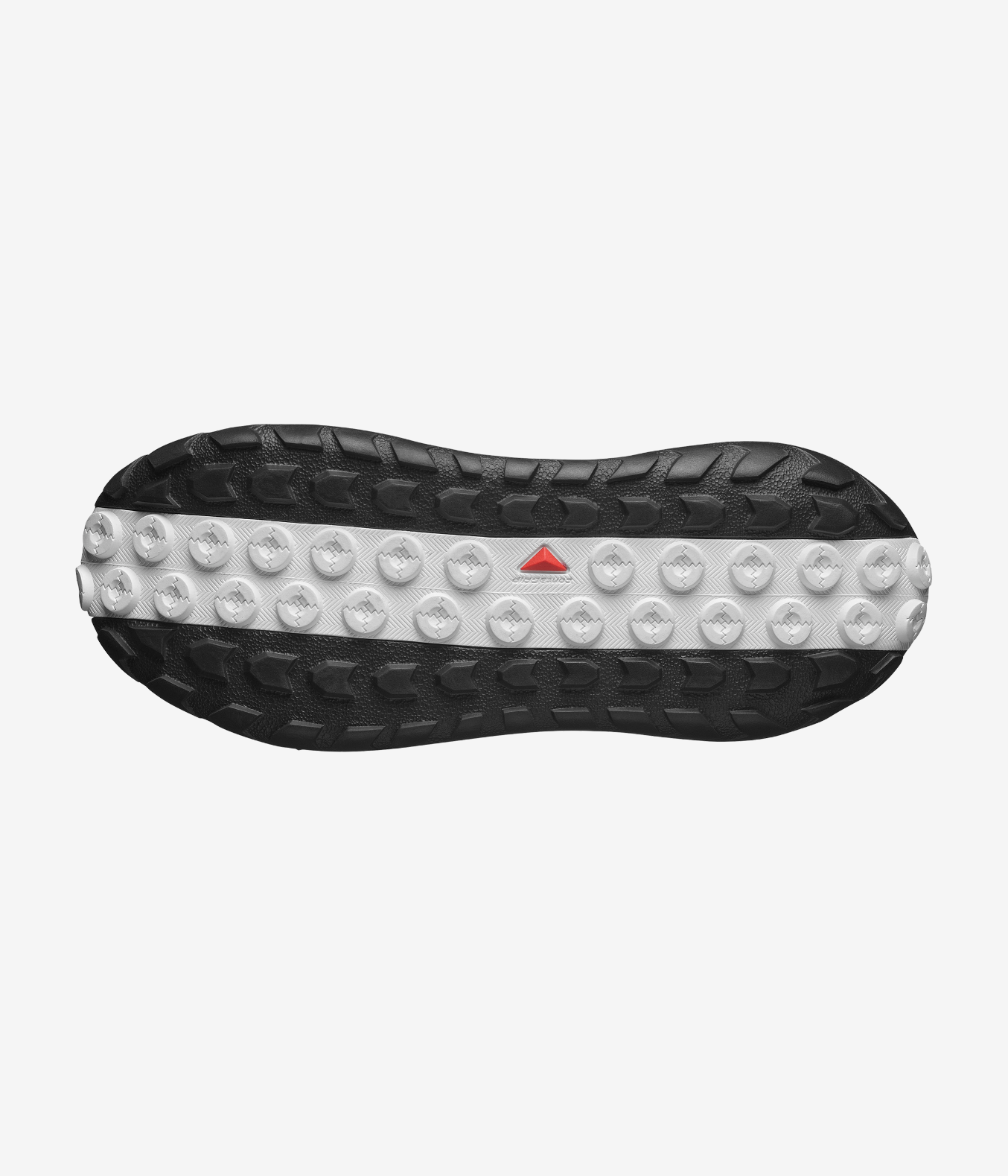 SOLAMPHIBIAN - SalomonGCC