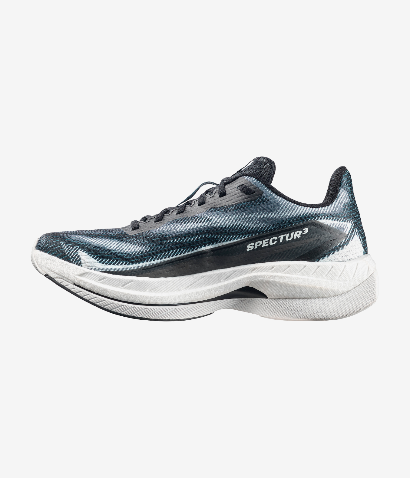 SPECTUR 3