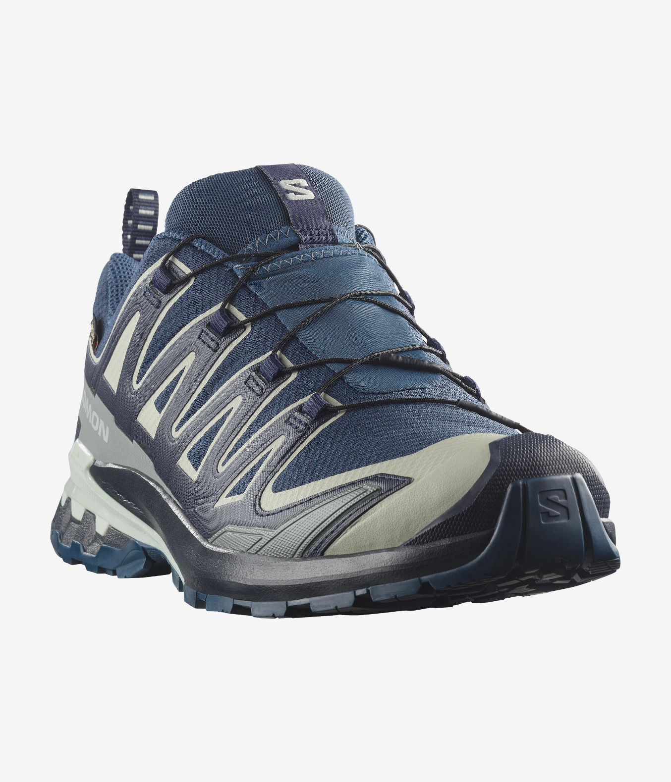 Salomon XA Pro 3D V9 GORE-TEX Trail Running Shoes