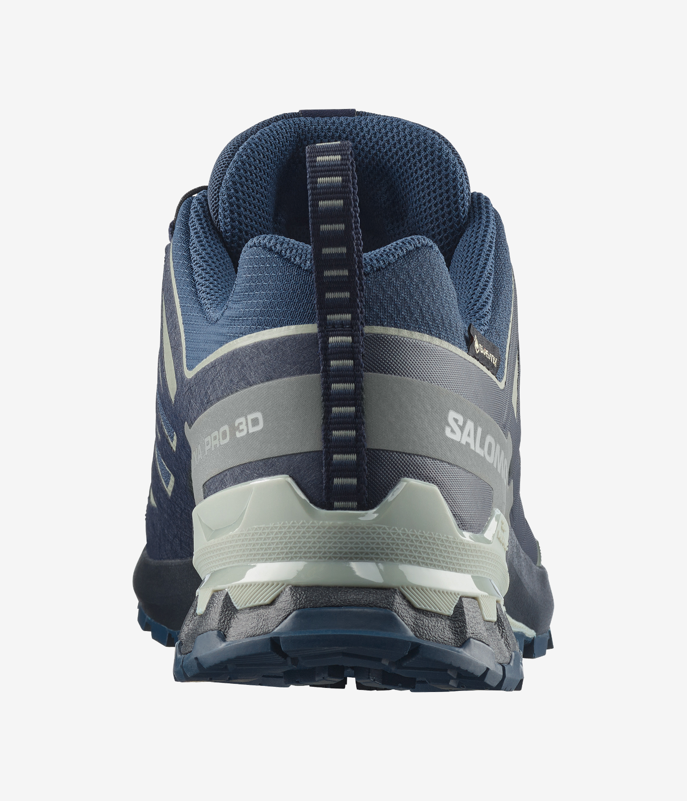 Salomon XA Pro 3D V9 GORE-TEX Trail Running Shoes