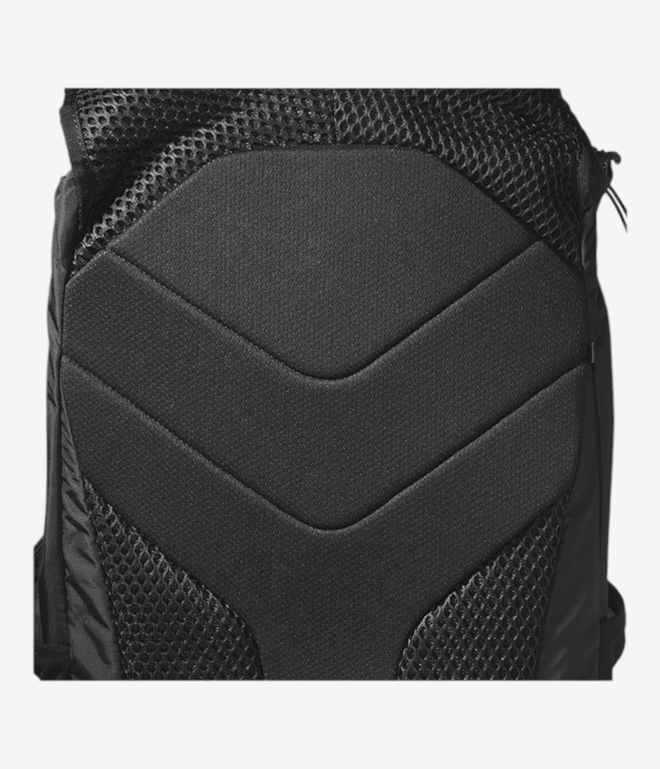 Trailblazer 20 Unisex Black Backpack