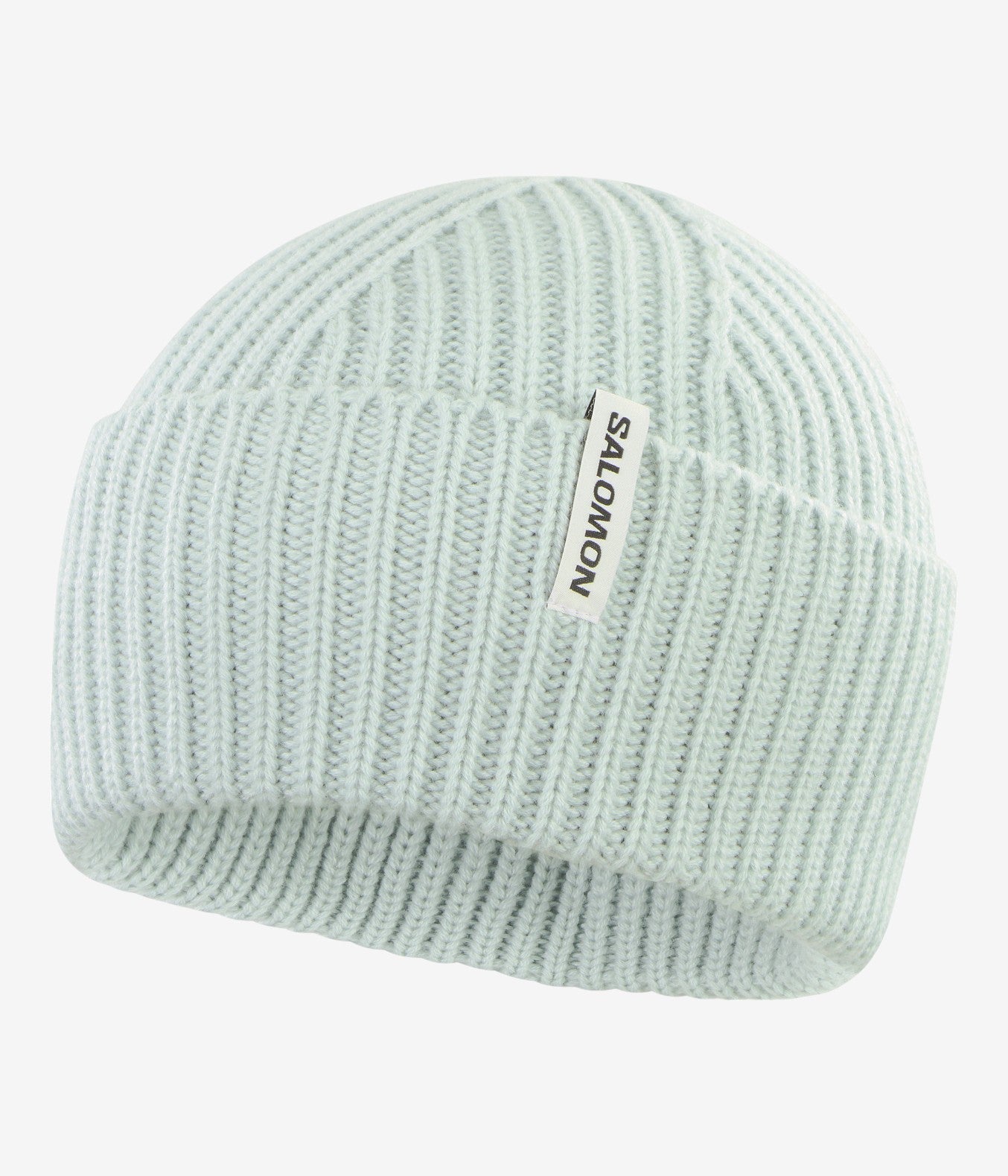 Snowbird Beanie
