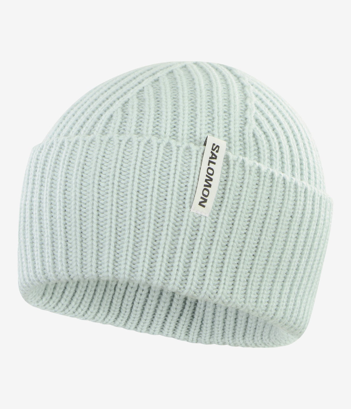 Snowbird Beanie