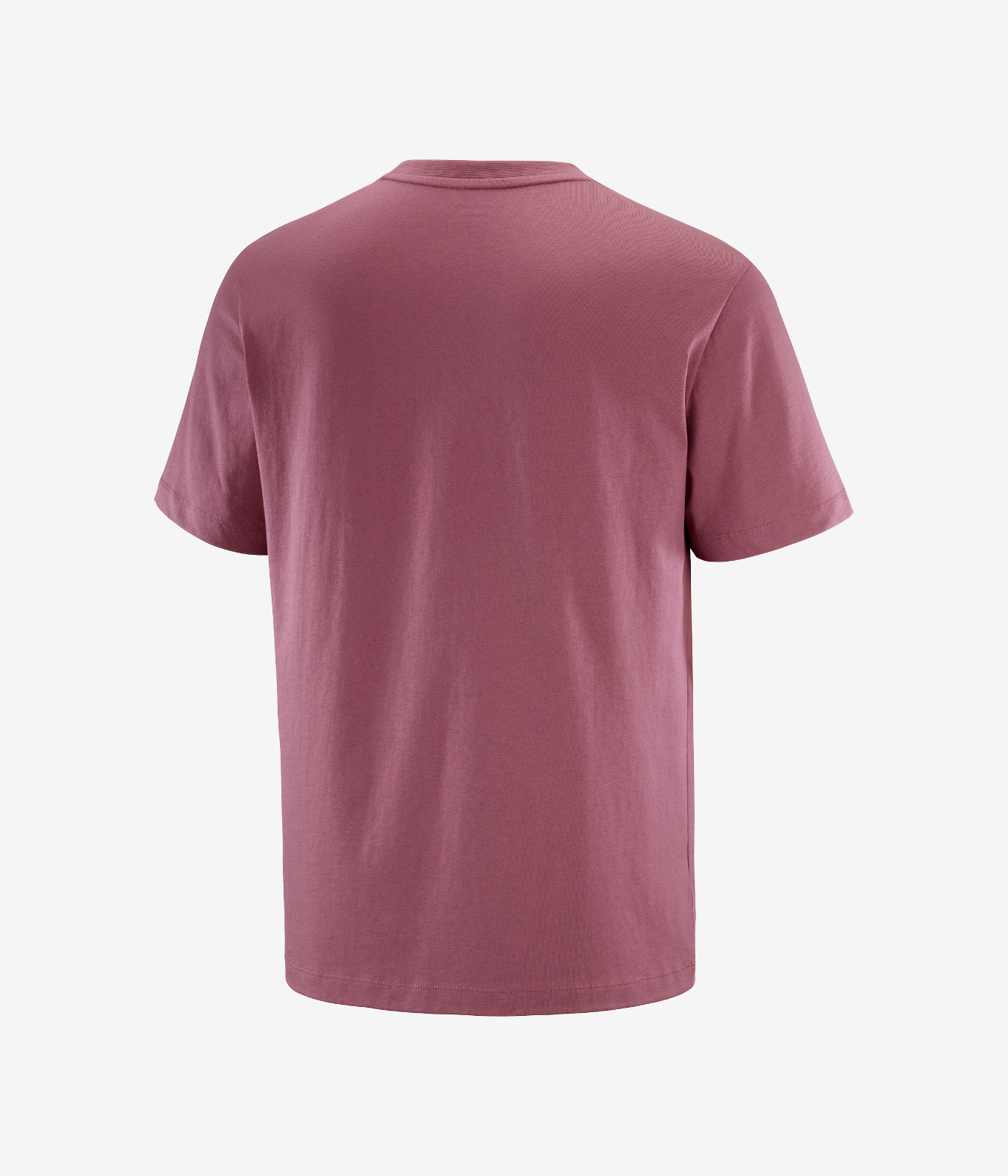 SALOMON LOGO - SalomonGCC