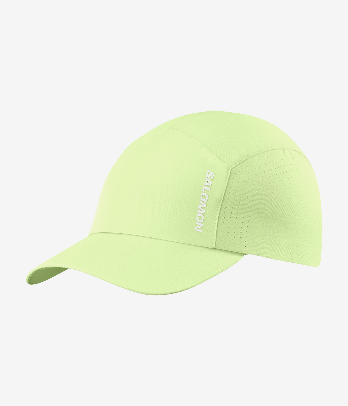 SHAKEOUT CAP